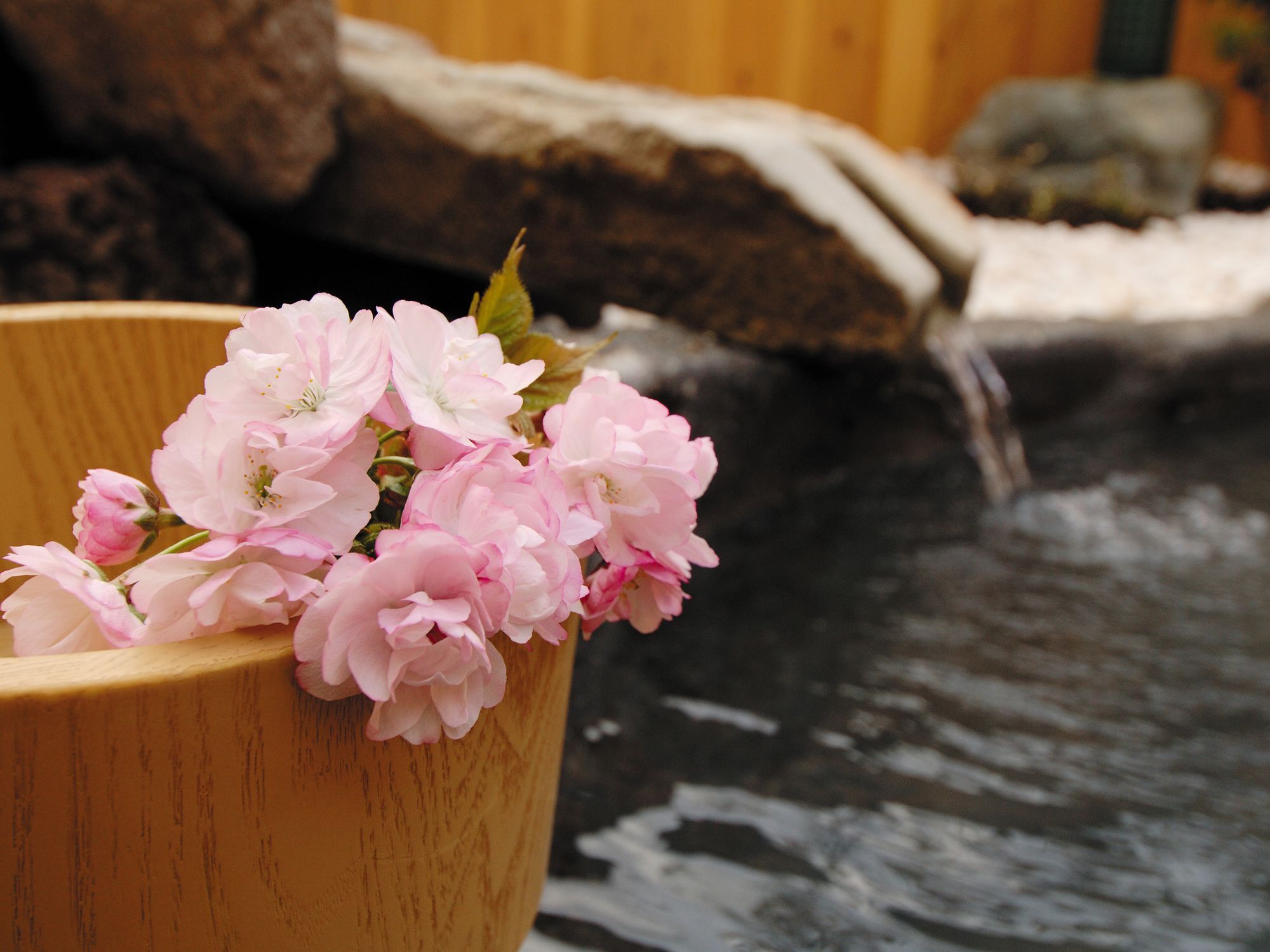 Oyado Nozawa Hotel Takayama  Ngoại thất bức ảnh